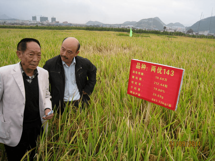 为了禾下乘凉的梦想向袁隆平们致敬