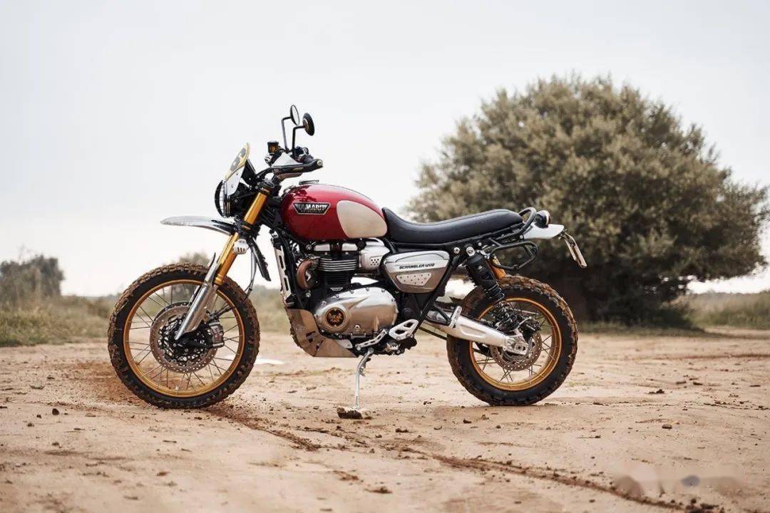 triumph scrambler 1200 | 每日一车