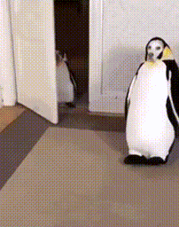 你要去做那只慢速前进的乌龟,趁那只懒惰的得意的兔子睡着的时候,去