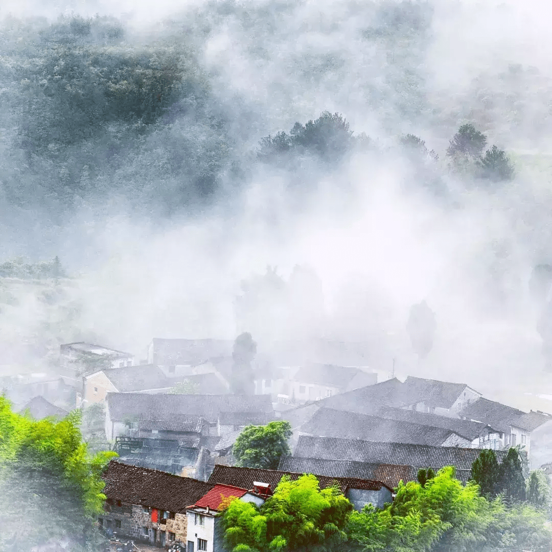 六月的雨在路上了!浙江7个绝美江南烟雨地将迎来最美时节