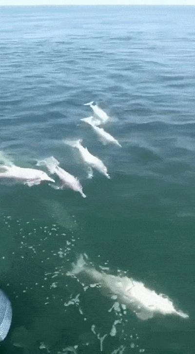 400_727 竖版 竖屏