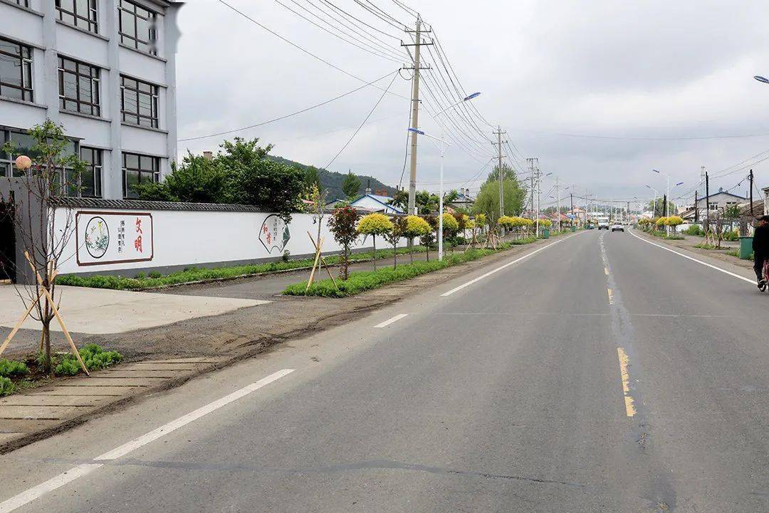 双鸭山市饶河县委副书记,县长付殿军带队到我区考察调研