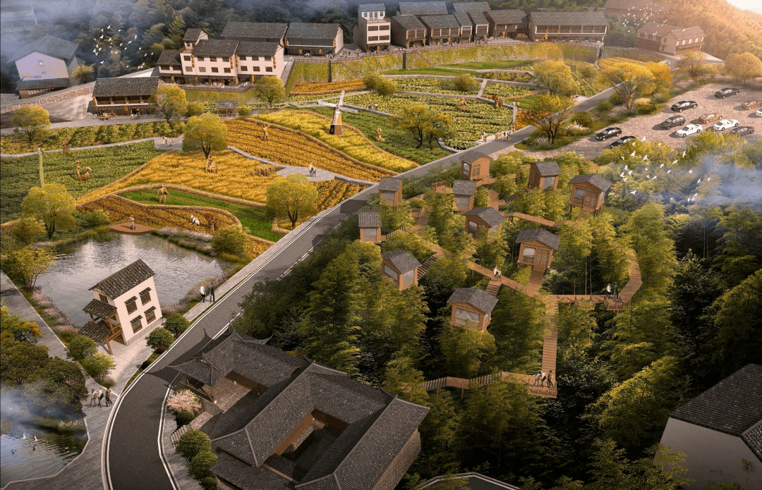 南田武阳开启未来乡村新模式!将迎来大变化