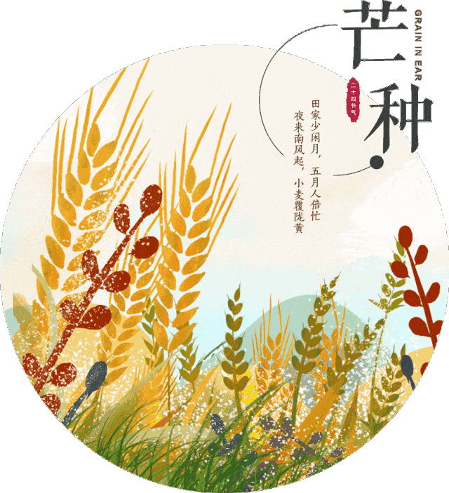 1187芒种;给爱自己一个理由,就能成为幸运的人