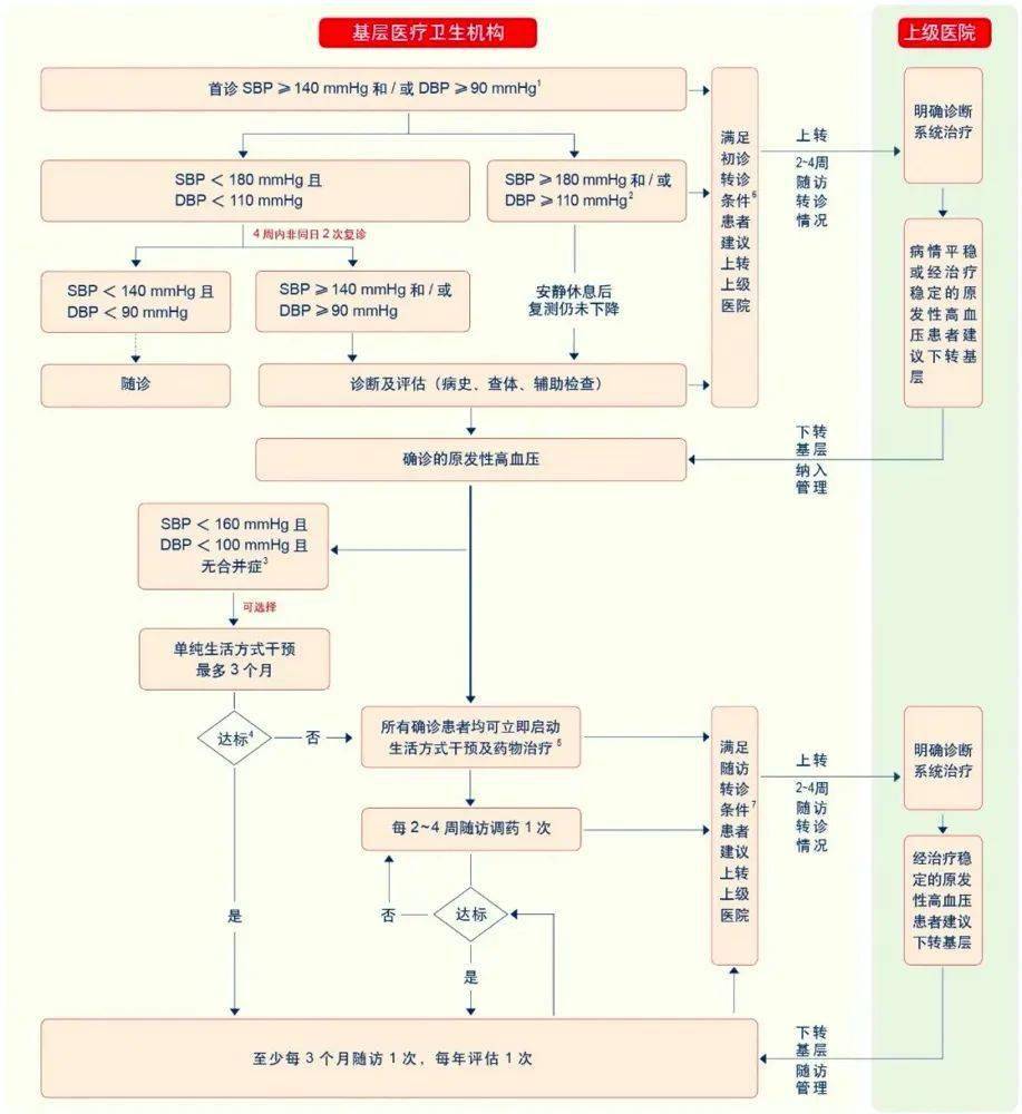 公卫项目宣传高血压健康教育诊断流程基层下乡随访干货整理