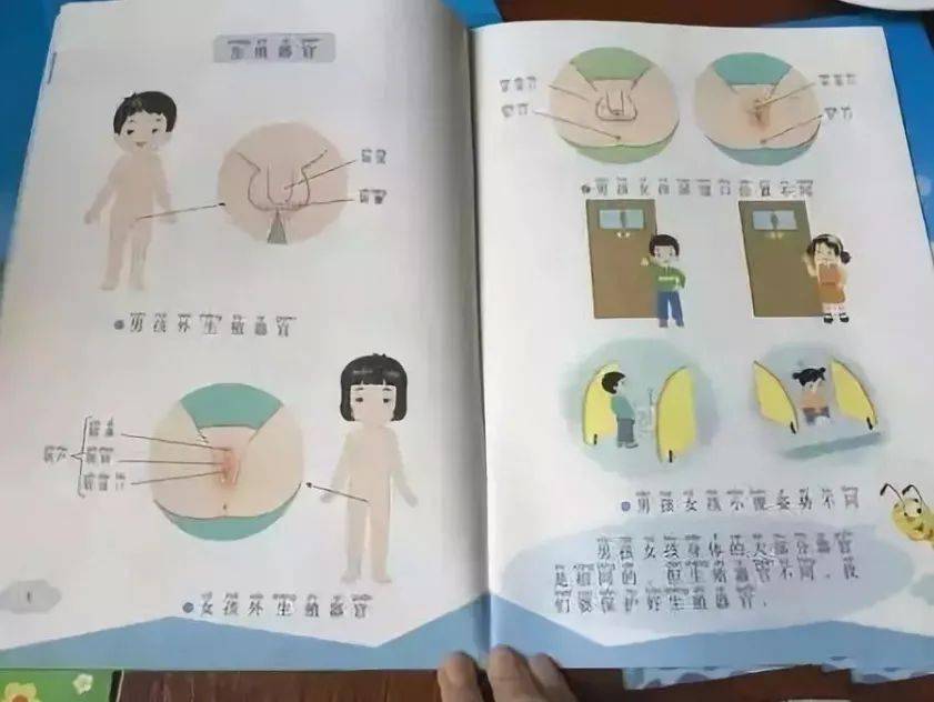 《小学生性健康教育读本》尺度太大, 认为太早让孩子接触这些暴