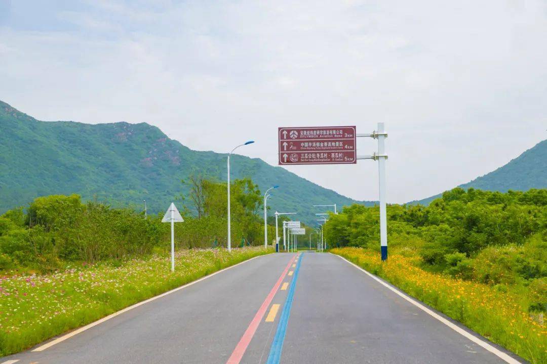 巢湖这条高颜值的"彩色公路,成为沿途一道靓丽的风景线