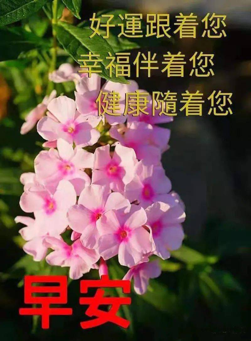 晨语| 早安!美言美图送祝福!