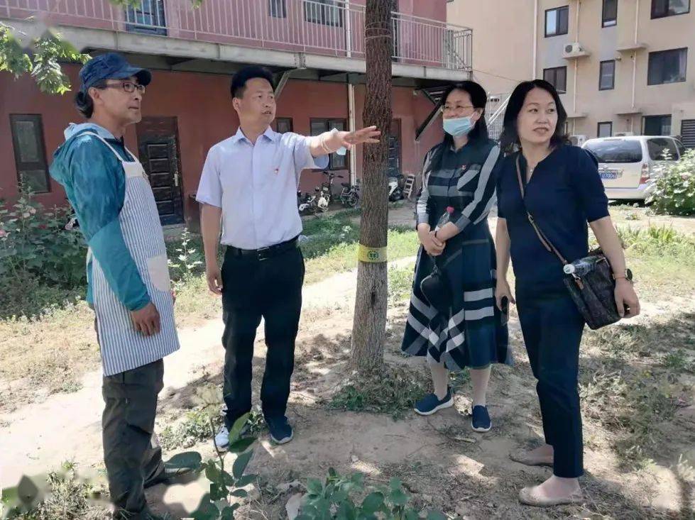 我为群众办实事田村路街道瑞和园社区花园营造项目启动共建共享创美好