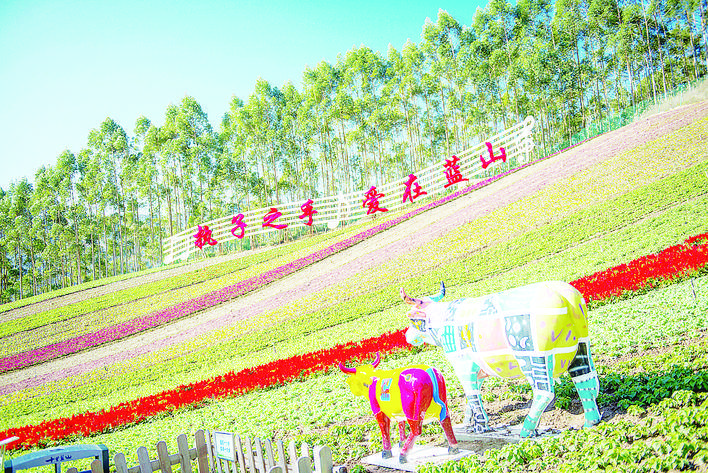 逛长泰十里蓝山 看花赏夜_景区