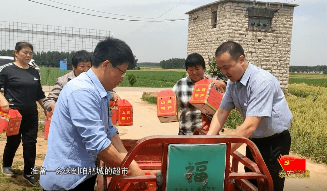 "这是泰安市财政局派驻肥城市桃园镇东里村四村第一书记任猛驻村以来