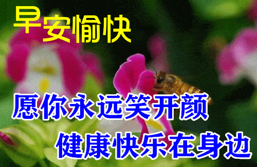最漂亮早上好动态表情图片大全早晨好动图美图大全