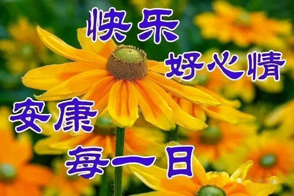 身体是生活的本钱,多养身;平安是幸福的方向,多保重.早安_祝福