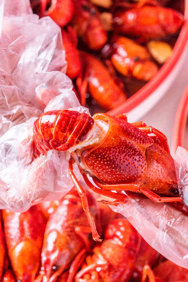 600_900 竖版 竖屏