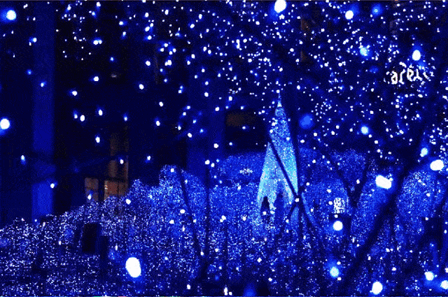 将开启bulingbuling模式我们打造的可是一整个魔幻炫美的灯光夜游世界