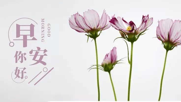 6月早上好问候祝福表情图片 周三最新早安问候语图片表情