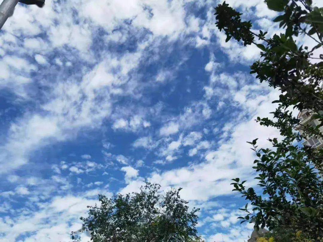 天晴气爽!今天津城天空又刷屏了