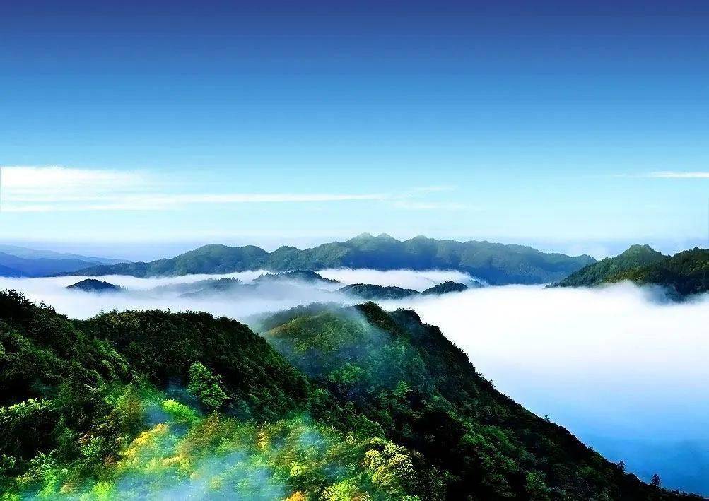 茅坪革命旧址群,毛泽东同志故居等24个红色景点,以及井冈山风景名胜区