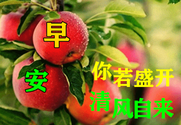 最漂亮早上好动态表情图片大全,早晨好动图美图大全