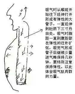 为什么一定要用"胸腹联合式呼吸法"?讲解 实用,快收藏