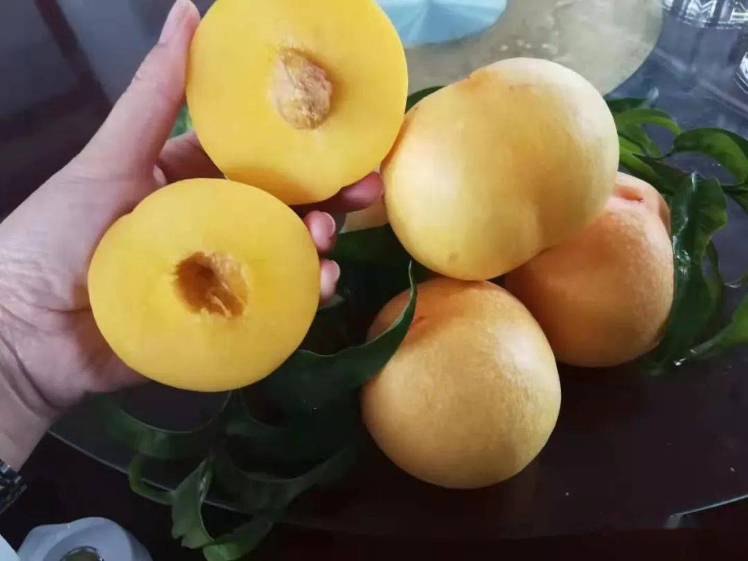 黄金油桃,脆甜!父亲节的礼物啊.