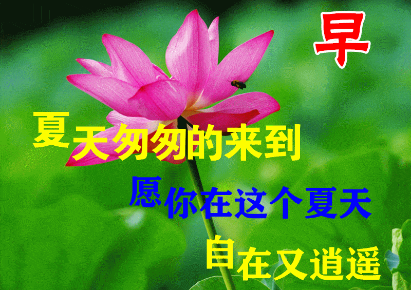 6月21日夏至最漂亮早上好动态表情图片大全,早晨好动图美图大全
