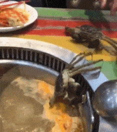 媳妇稳住,说好的生死相依,我马上来救你,要死一起死