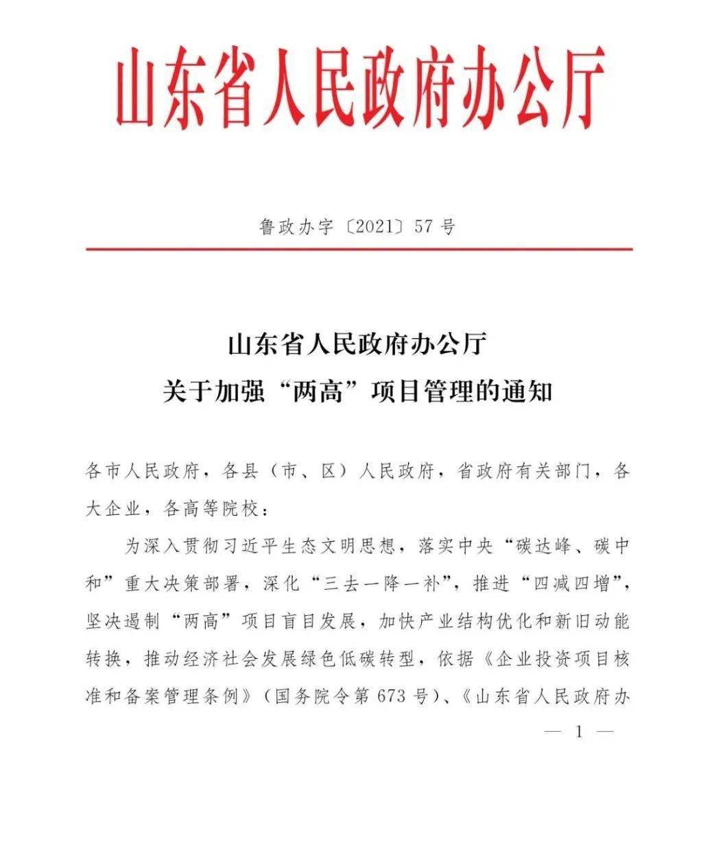 地方动态丨山东省人民政府办公厅关于加强两高项目管理的通知