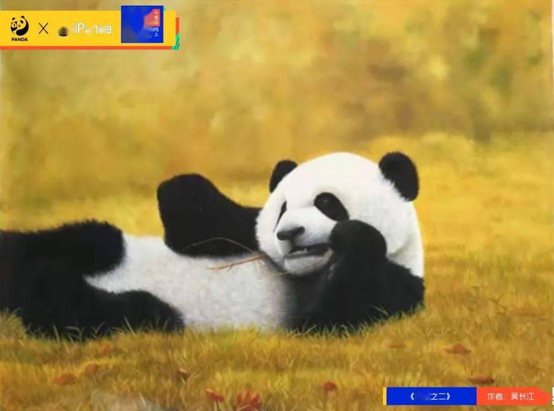 "熊猫风"交响乐,奏响熊猫童话新篇章