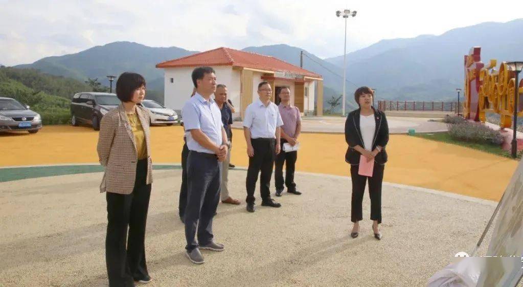 周末不停歇书记代县长下乡调研