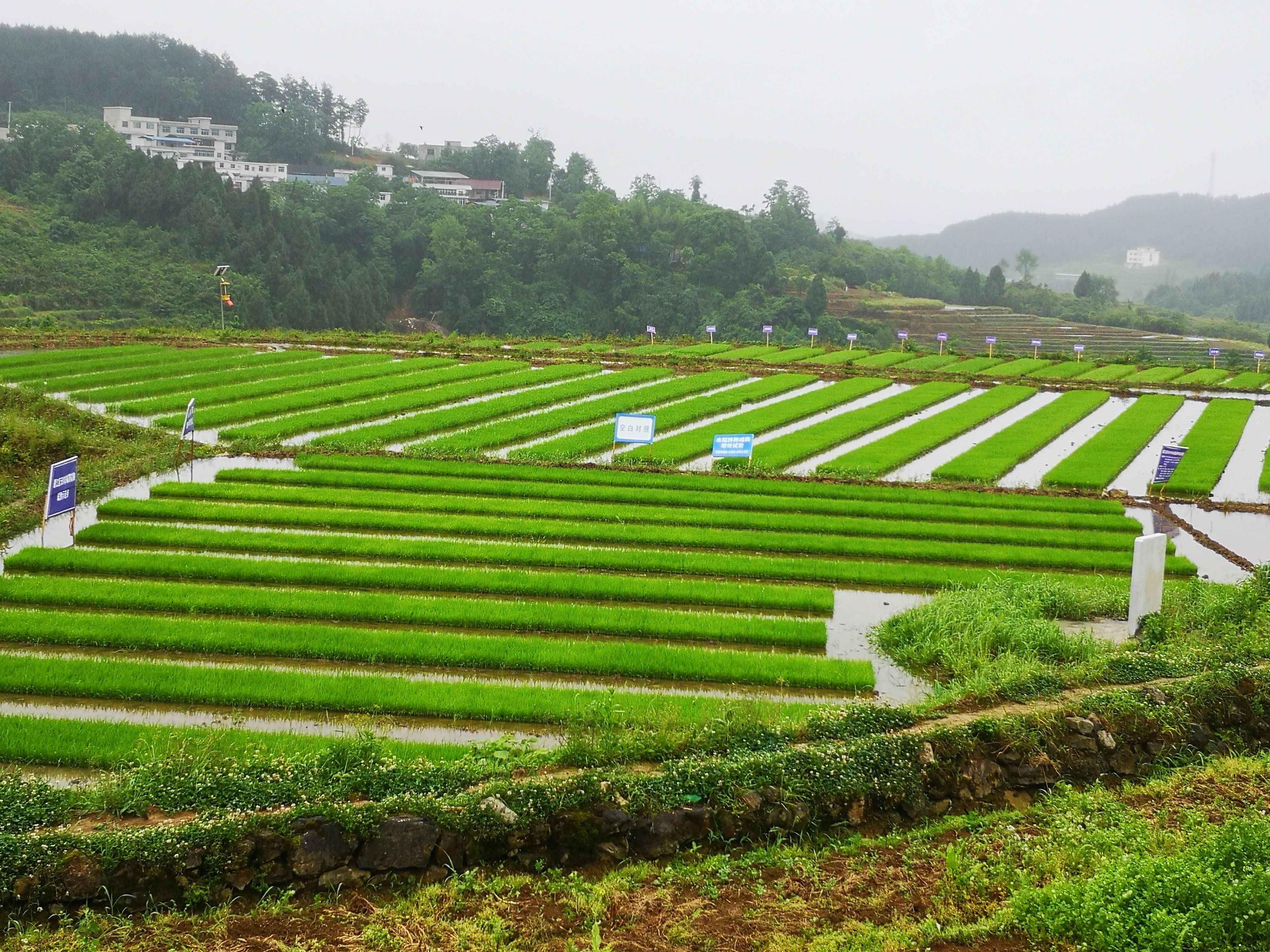 碧江农业机械化助力产业现代化