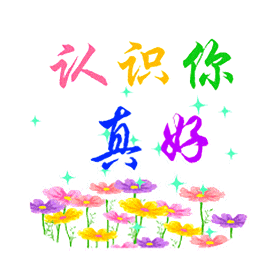 550_550