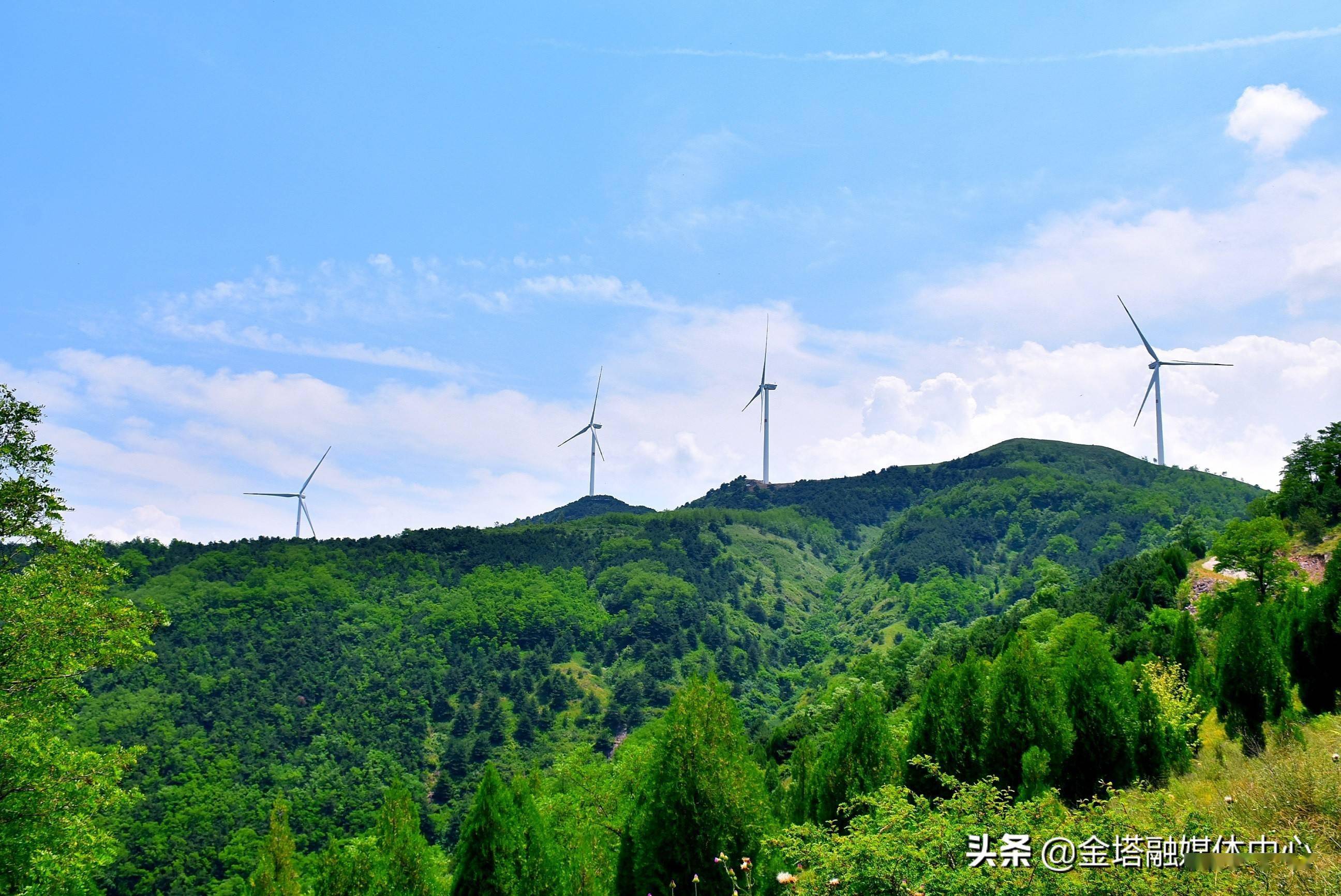 河南灵宝苏村乡:秀美青山 魅力无限