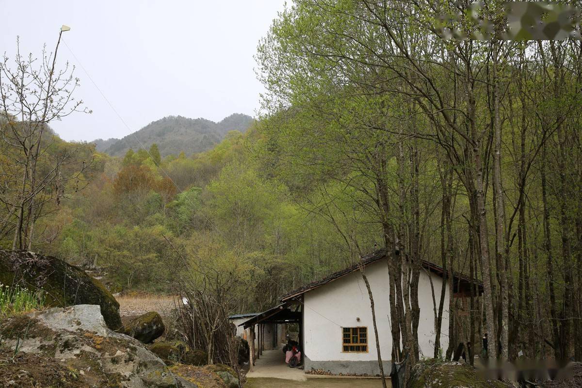 秦岭这条山沟宛如世外桃源10年前49户人家搬出山沟看成啥样了