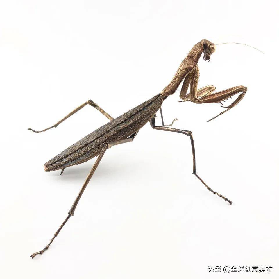 青铜和纯银再现史前昆虫|来自生物学博士的金属昆虫标本