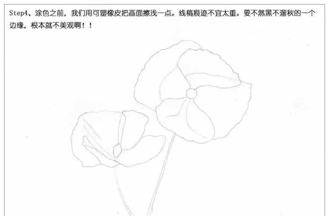 step2,继续用铅笔画草稿.在花朵的轮廓之内大致画出花瓣的位置来.