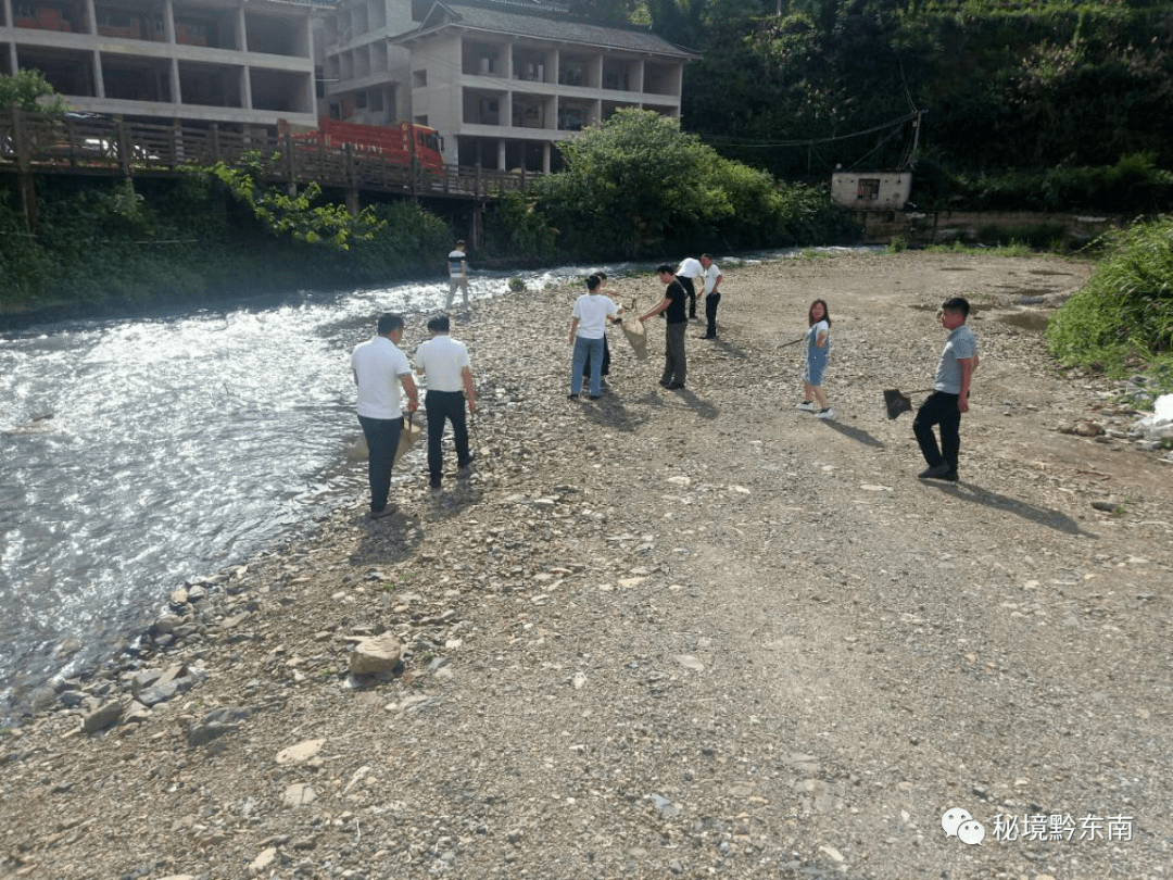 【聚焦】雷山县西江镇:让河道更清洁更美丽