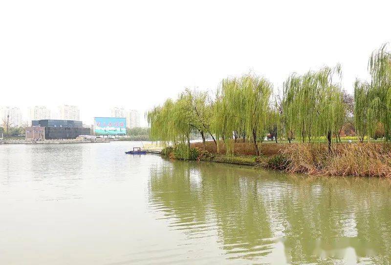 花团锦簇,绿树繁茂,来阜宁这个公园呼吸新鲜空气