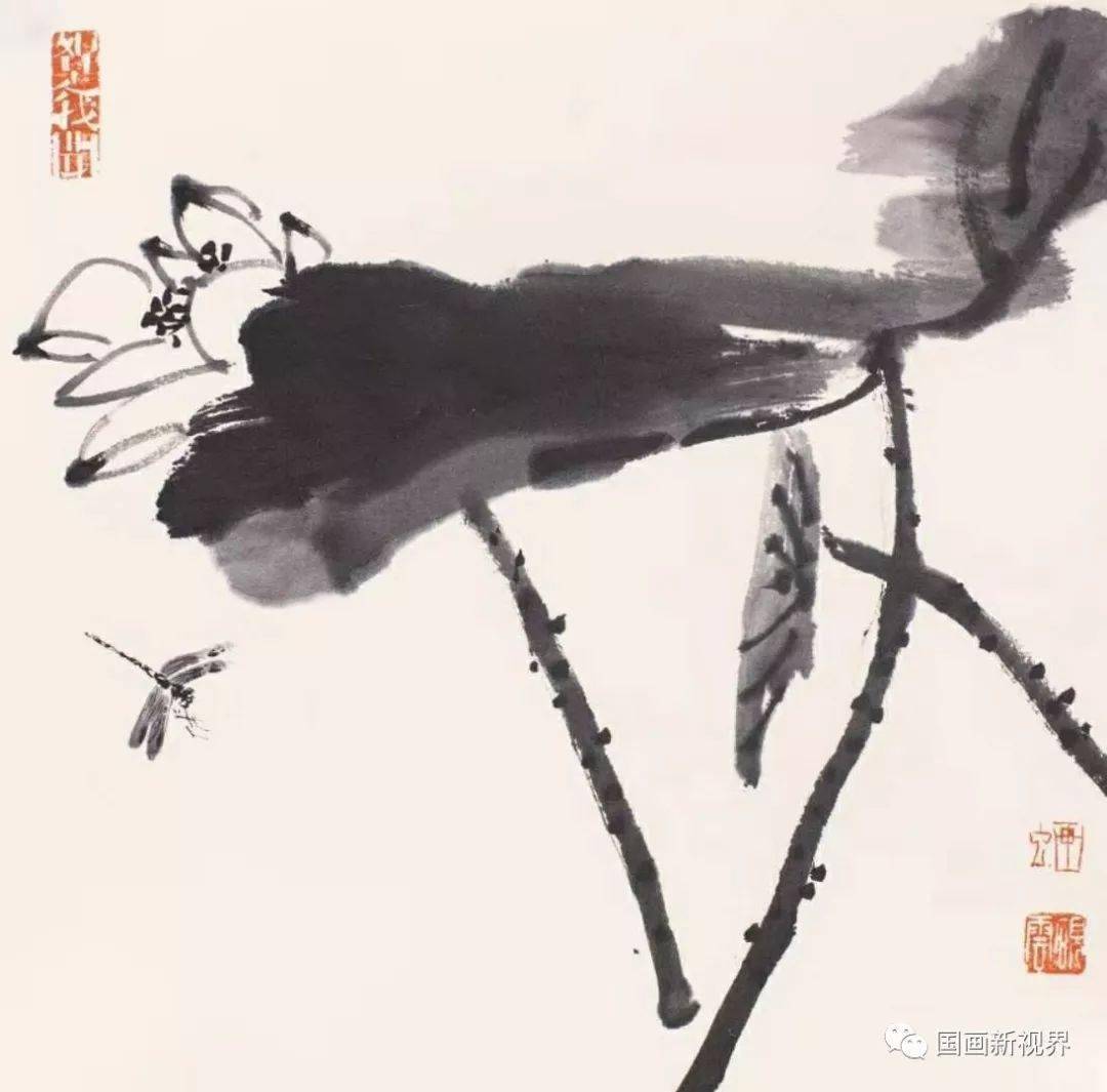 砚云荷花