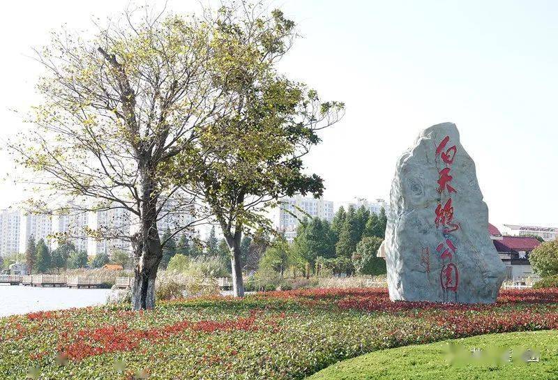 花团锦簇,绿树繁茂,来阜宁这个公园呼吸新鲜空气