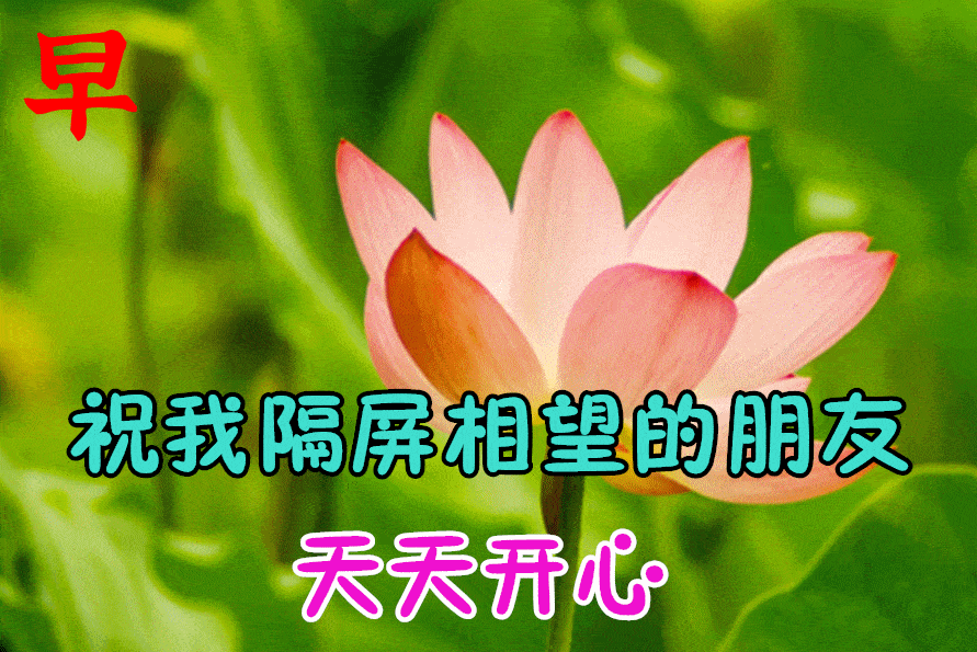 最漂亮早上好动态表情图片大全,早晨好动图美图大全