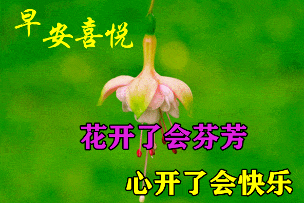 7月9日最漂亮早上好动态表情图片大全早上好动图美图大全