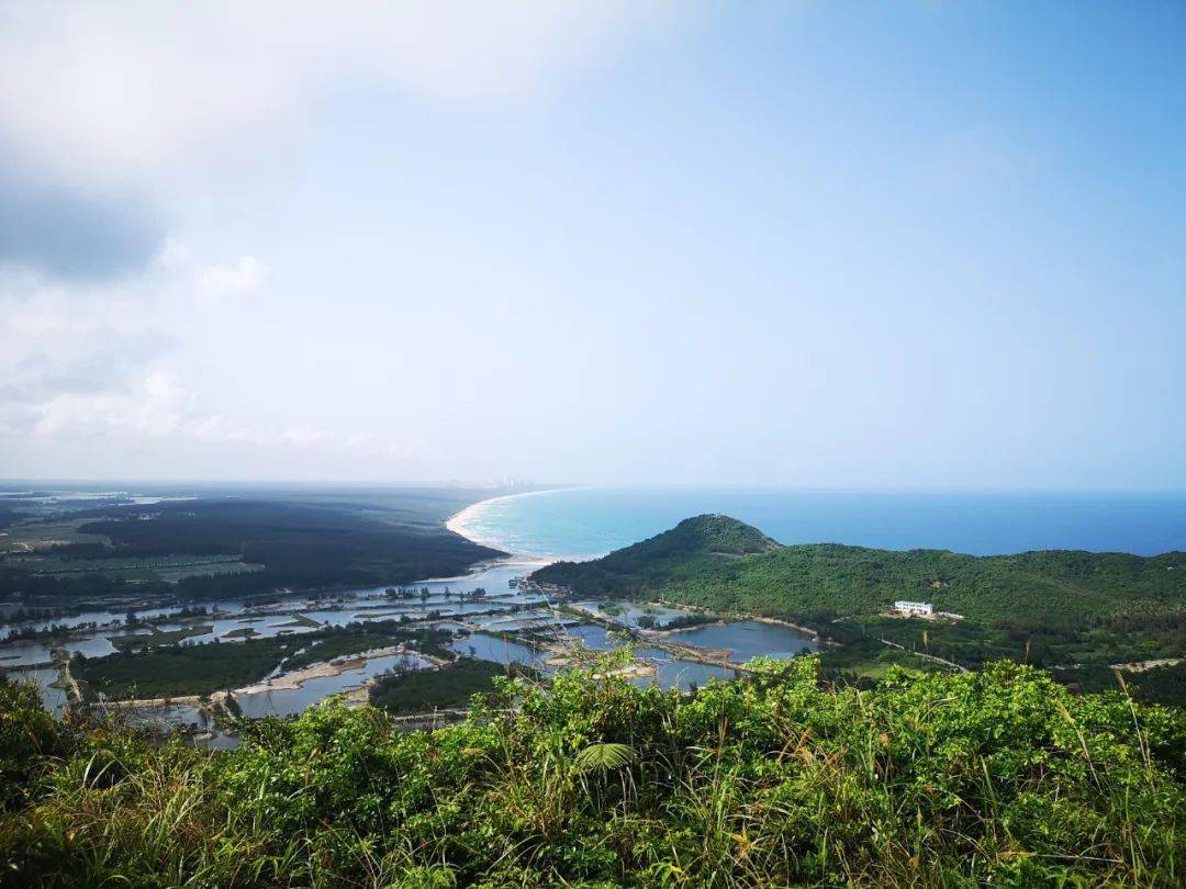 铜鼓岭铜鼓岭是全国唯一一个高山与海洋相结合的国家级自然保护区