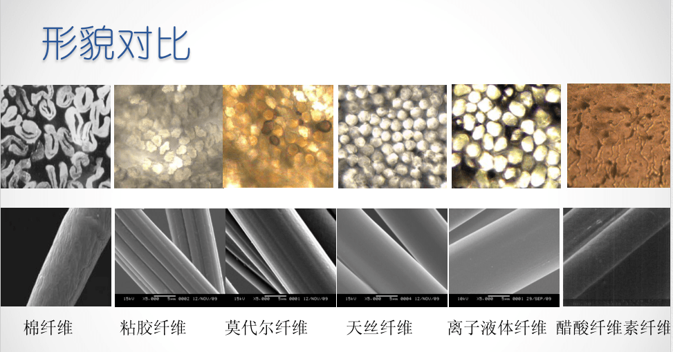 不同种类纤维素纤维形态,结构与性能的对比!
