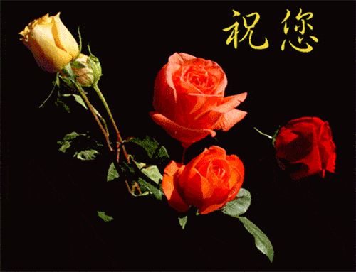 再执着的未来,也会有以往;再优美的旋律,也会有情殇.早安