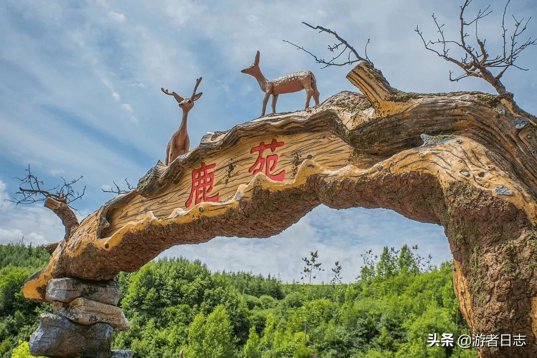 看点十 鹿鸣谷开园启动仪式