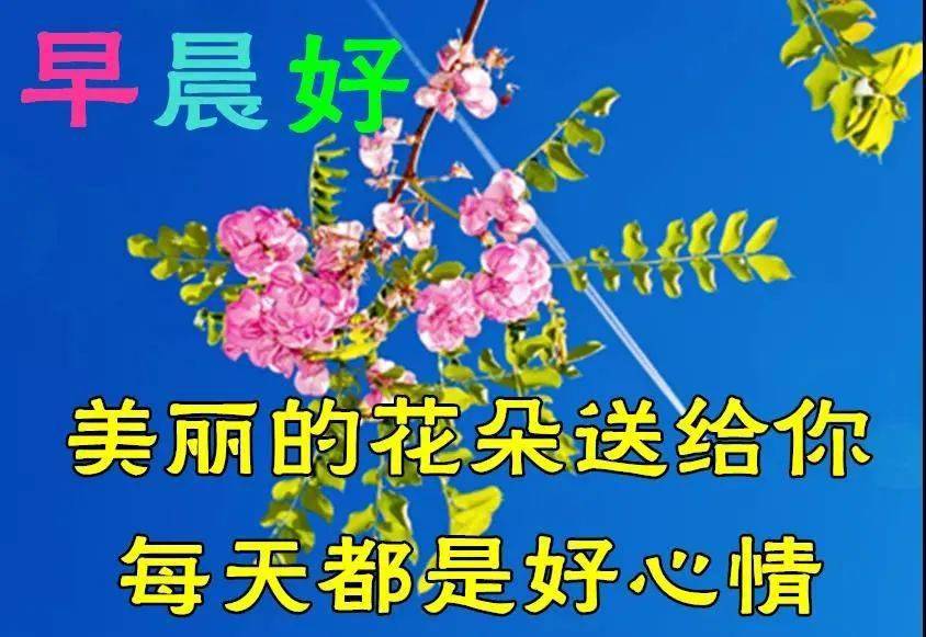 7月17日最漂亮早上好动态表情图片大全,早上好动图美图大全