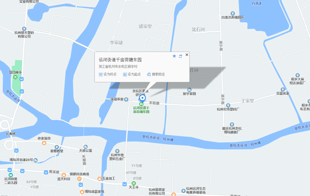 城管文化|惊艳 临平区千亩荷花尽数开 你来吗_运河街道