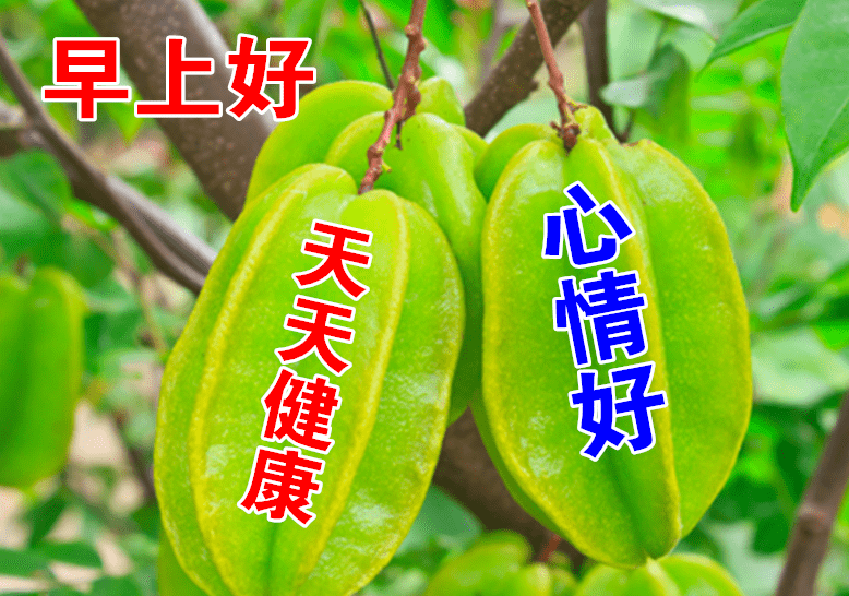 最漂亮早上好动态表情图片大全,早晨好动图美图大全_女人