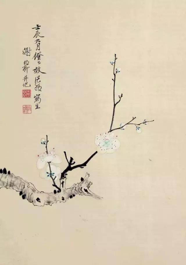 画梅的文化自觉_梅花